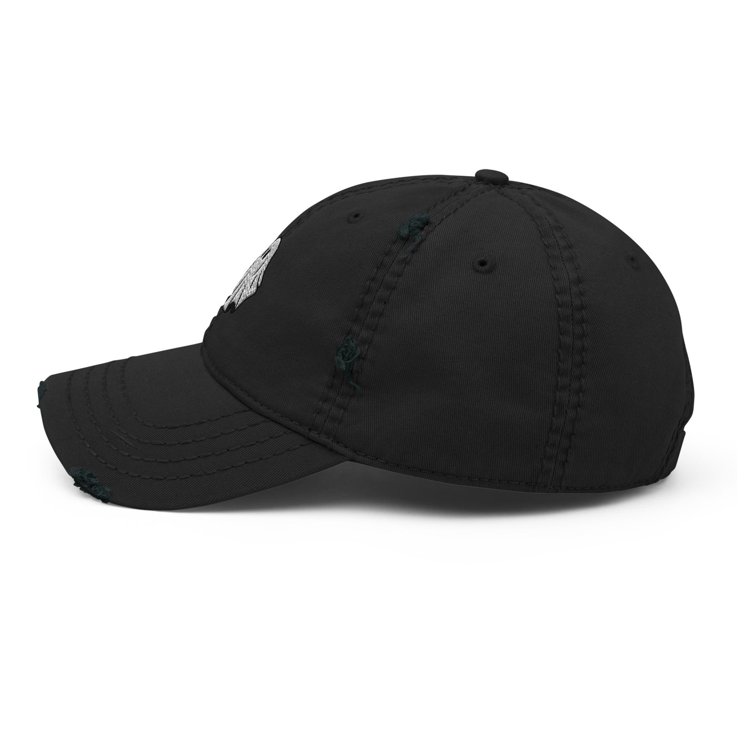 Ghost Distressed Hat